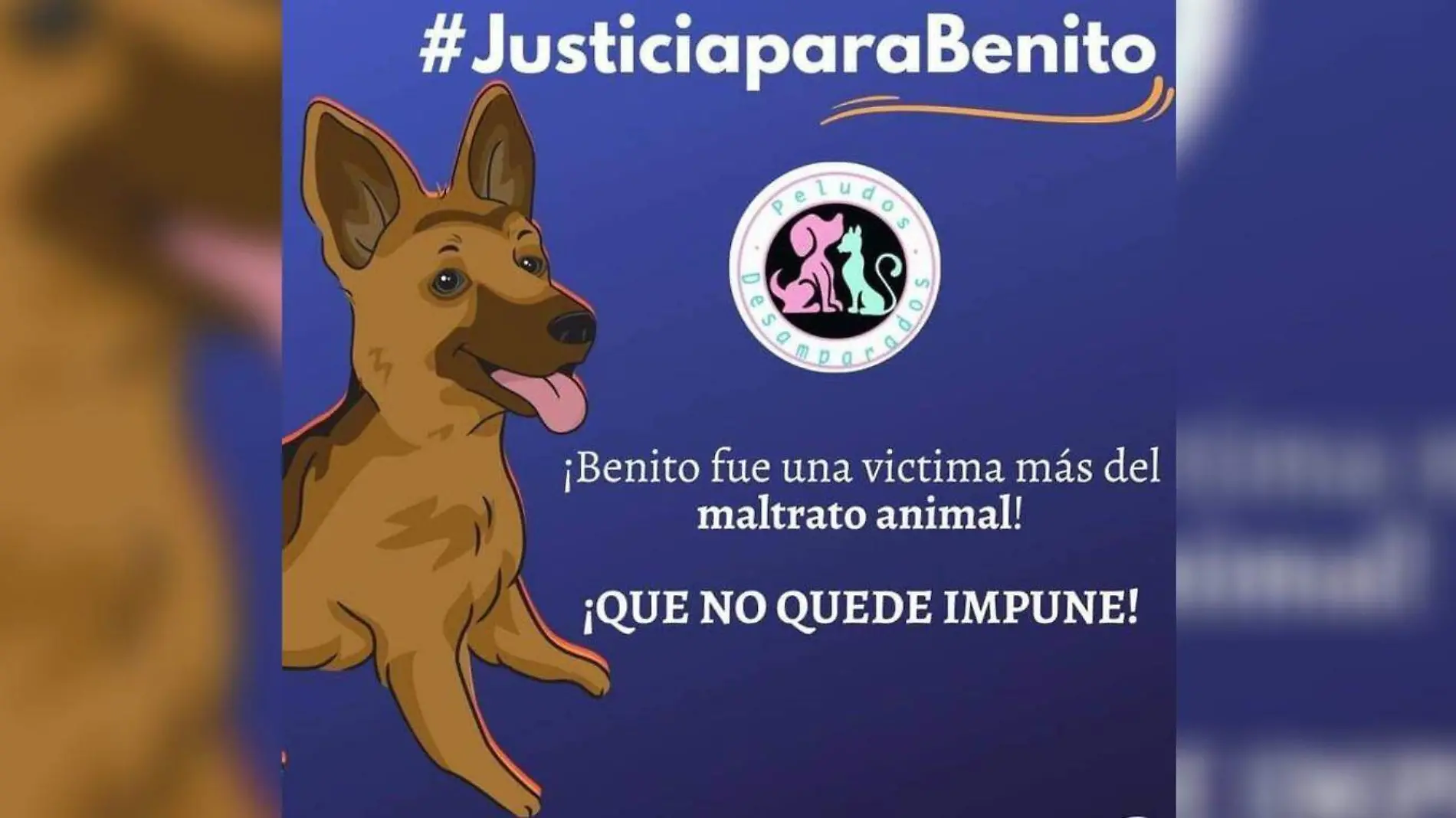 justicia para benito